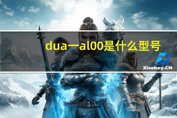 dua一al00是什么型号