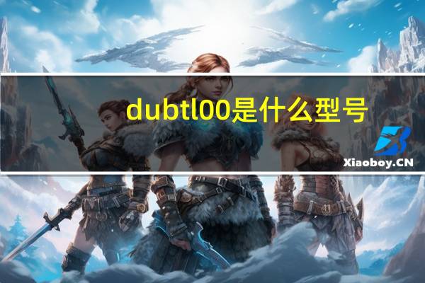 dubtl00是什么型号