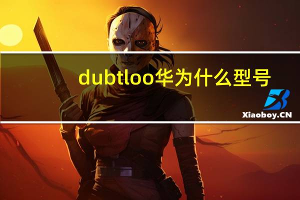 dubtloo华为什么型号