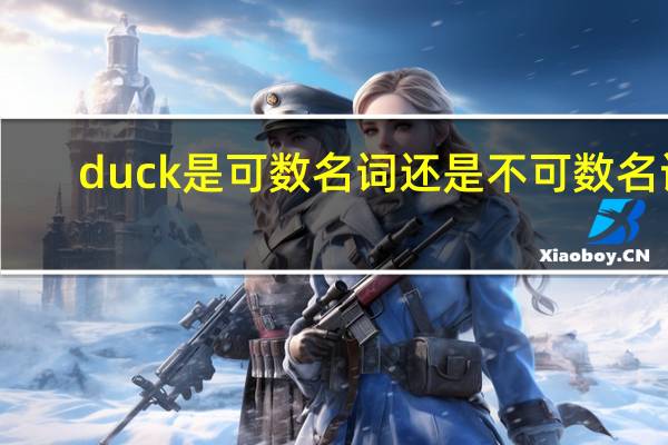 duck是可数名词还是不可数名词