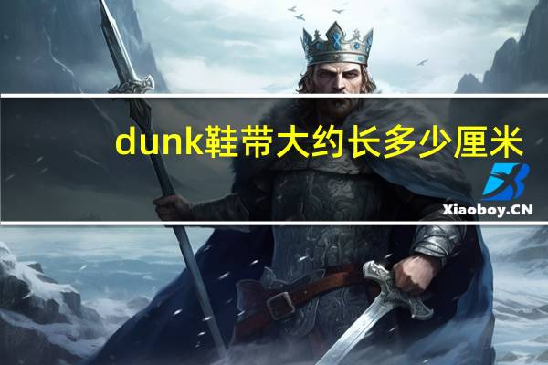 dunk鞋带大约长多少厘米