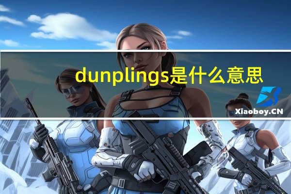 dunplings是什么意思