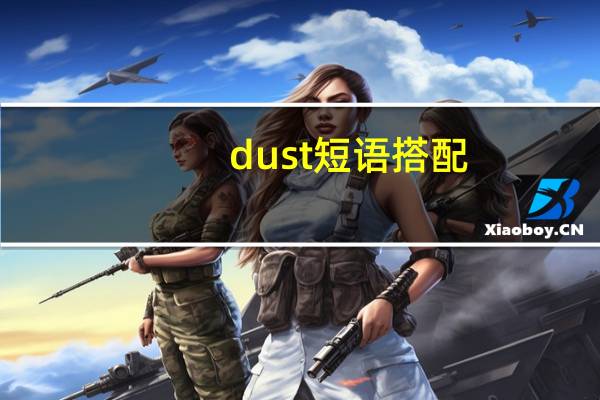 dust短语搭配