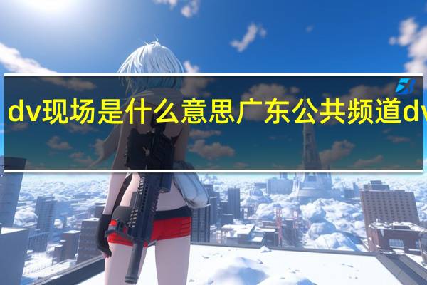 dv现场是什么意思 广东公共频道dv现场