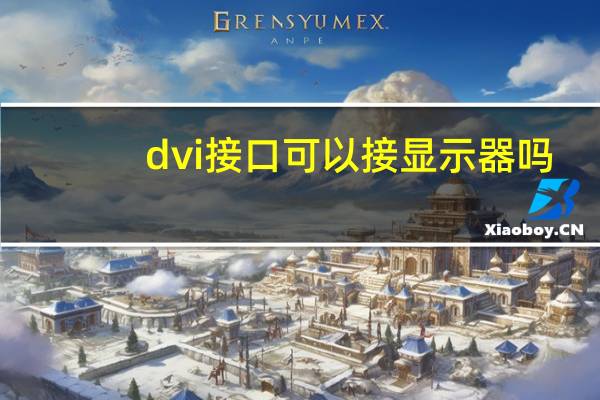 dvi接口可以接显示器吗