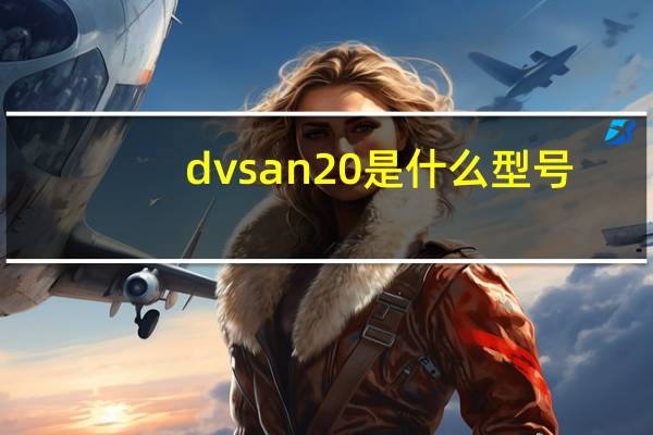 dvsan20是什么型号（dvs）