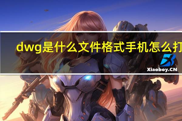 dwg是什么文件格式手机怎么打开（dwg是什么文件）