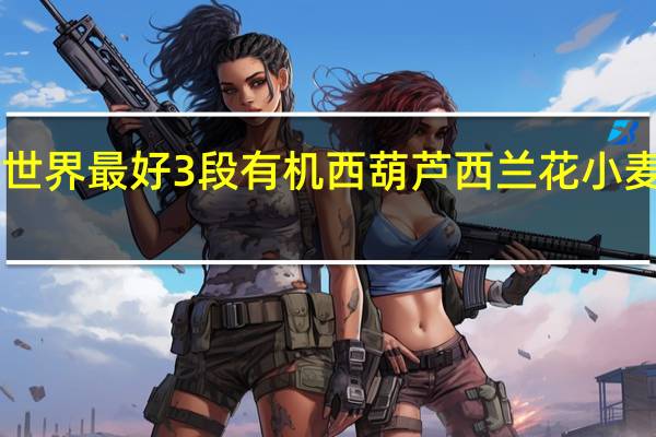 earth best 世界最好 3段有机西葫芦西兰花小麦泥卡路里是多少