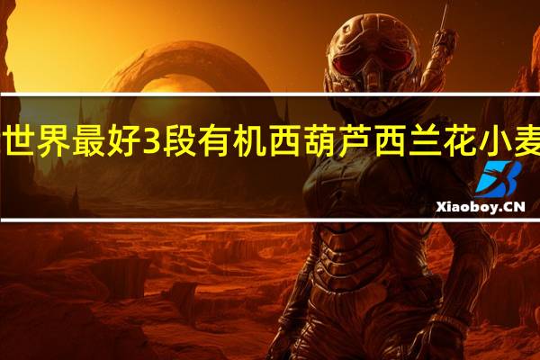 earth best 世界最好 3段有机西葫芦西兰花小麦泥的热量是多少