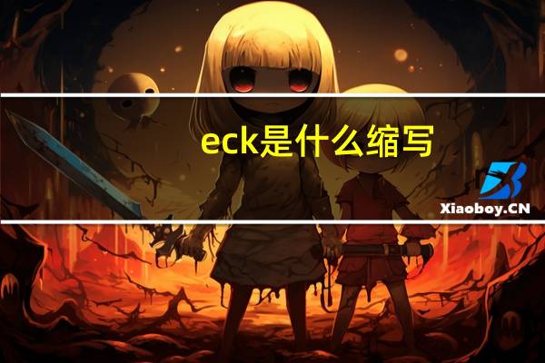eck是什么缩写（ecc kmd是什么意思）