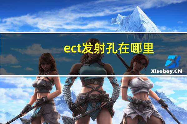 ect发射孔在哪里（ect发票打印）