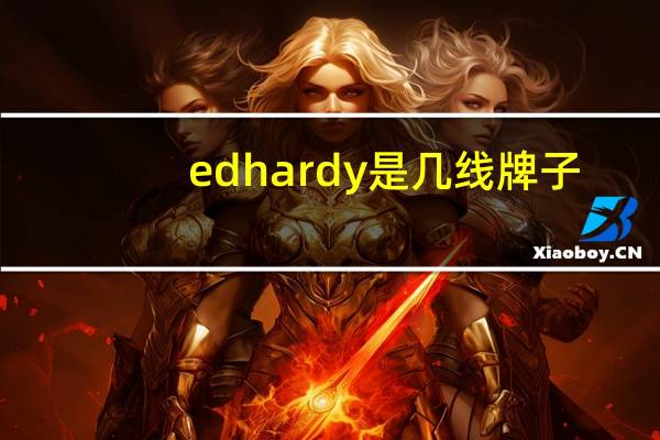 edhardy是几线牌子