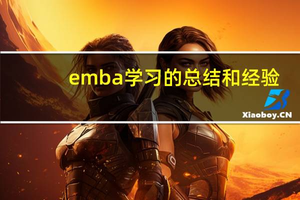 emba学习的总结和经验