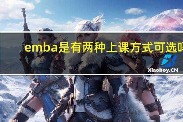 emba是有两种上课方式可选吗