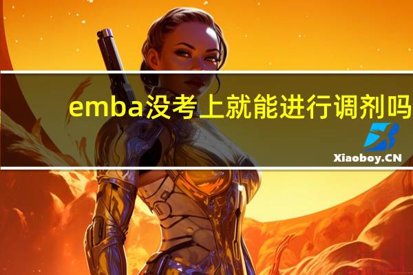emba没考上就能进行调剂吗