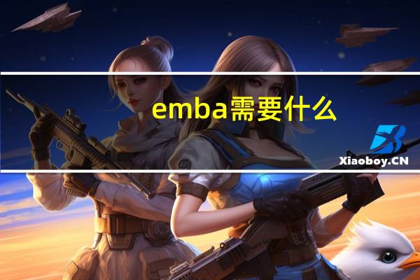 emba需要什么