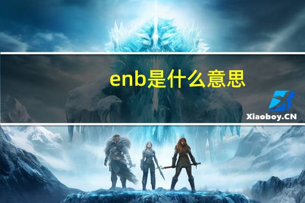 enb是什么意思