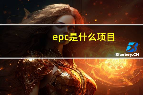 epc是什么项目