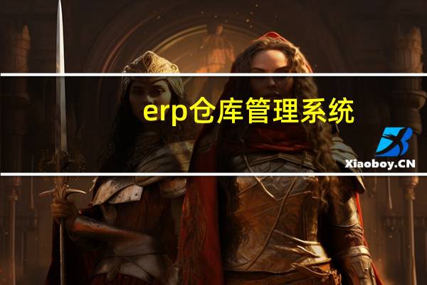 erp仓库管理系统（什么是erp管理系统）