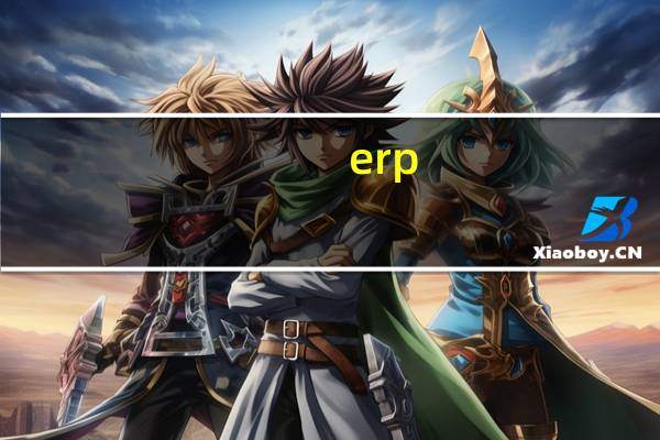 erp(关于erp的介绍)