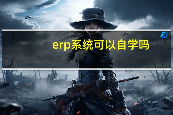 erp系统可以自学吗