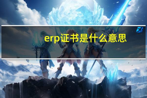 erp证书是什么意思