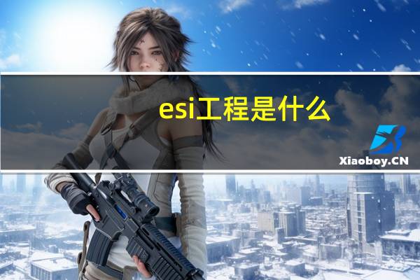 esi工程是什么