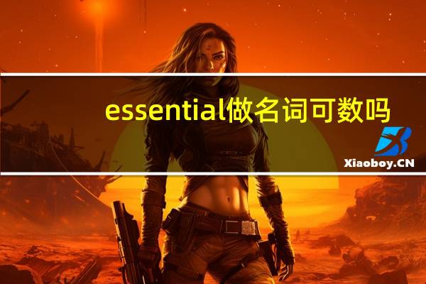 essential做名词可数吗