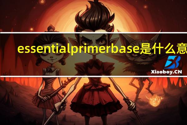 essential primer base是什么意思
