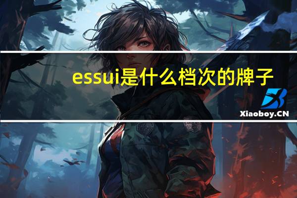 essui是什么档次的牌子