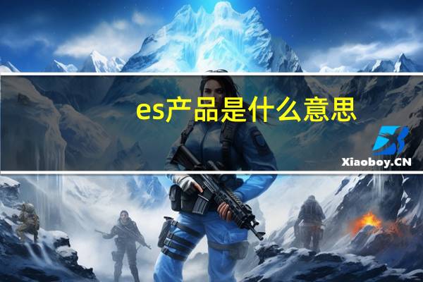 es产品是什么意思