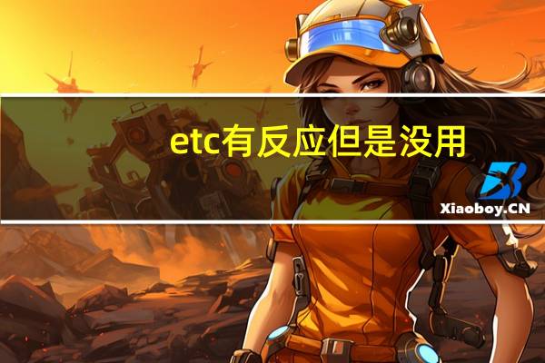etc有反应但是没用（etc怎么没有反应）