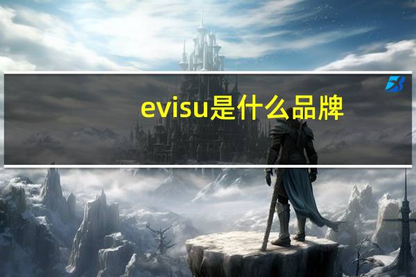 evisu是什么品牌