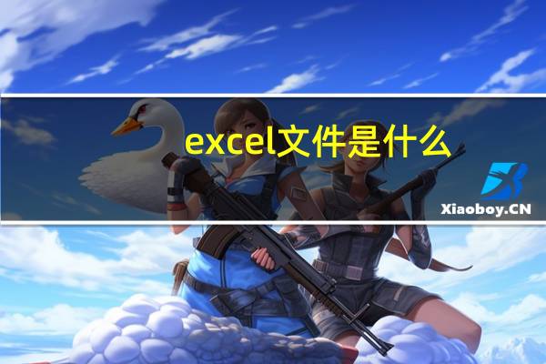 excel文件是什么