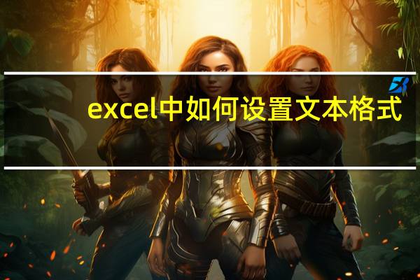 excel中如何设置文本格式（excel文本格式怎么设置）
