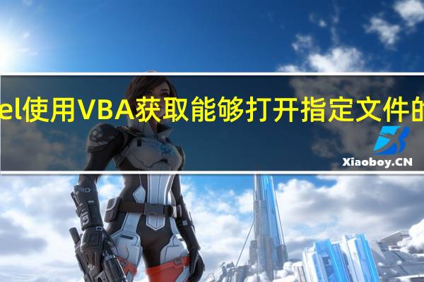 excel使用VBA获取能够打开指定文件的EXE程序