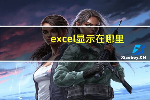 excel显示在哪里(sheet-显示在workbook窗口中的表格简介)