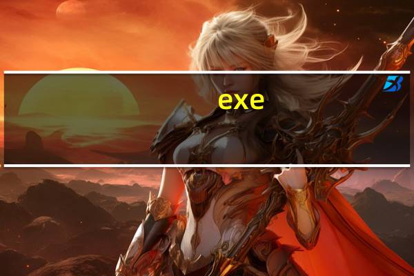 exe(exe)