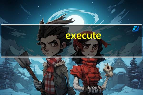 execute（exe）