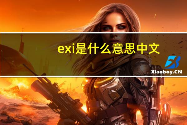 exi是什么意思中文（ex libris是什么意思）