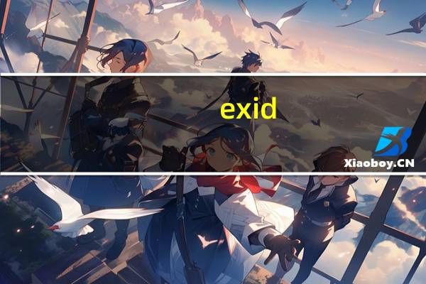exid（关于exid的介绍）