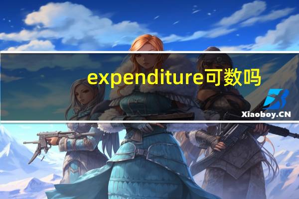 expenditure可数吗