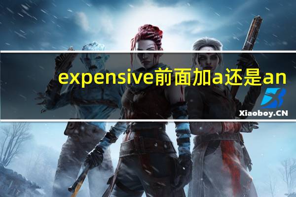 expensive前面加a还是an