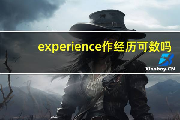 experience作经历可数吗