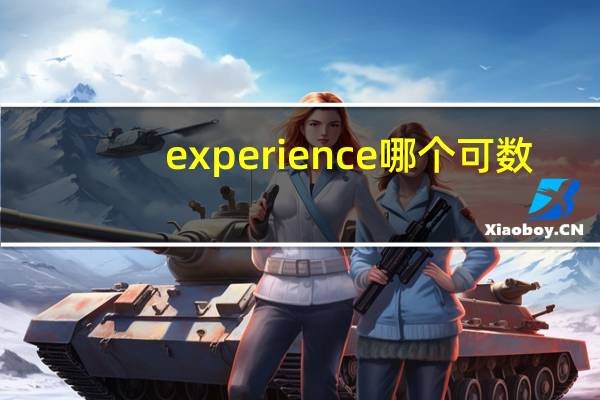 experience哪个可数