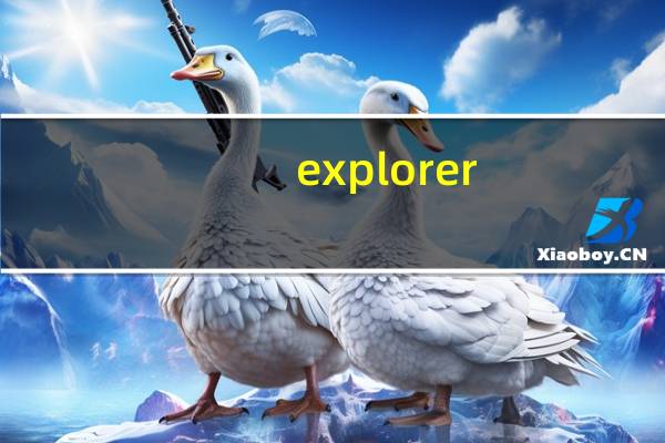 explorer。exe程序错误