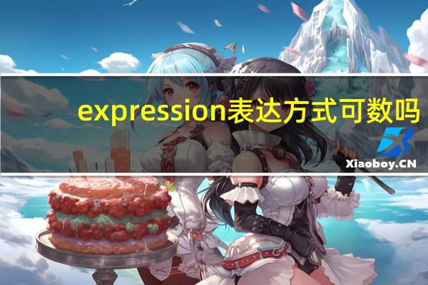 expression表达方式可数吗