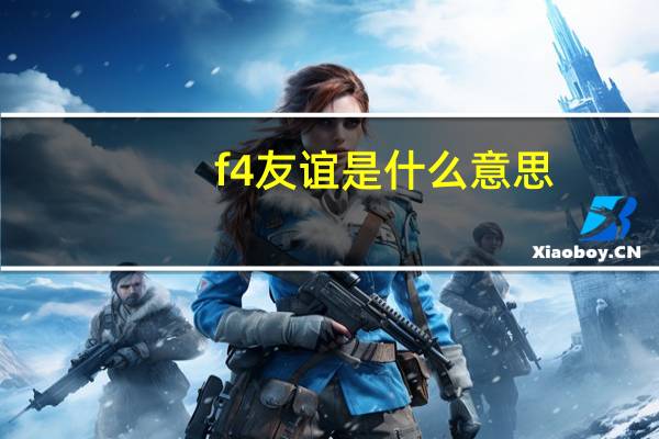 f4友谊是什么意思