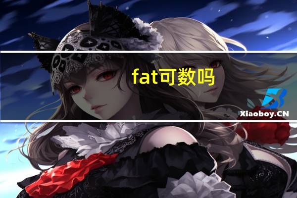 fat可数吗