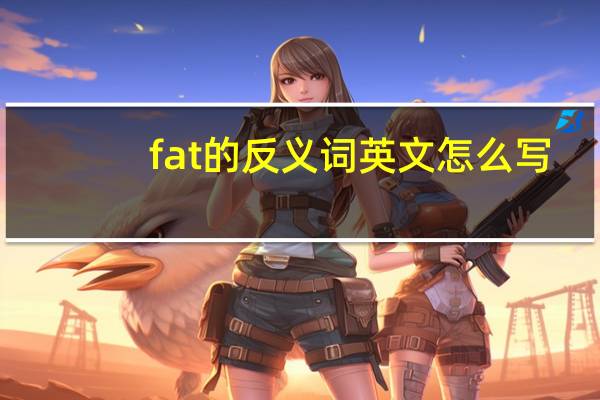 fat的反义词英文怎么写（fat的反义词）